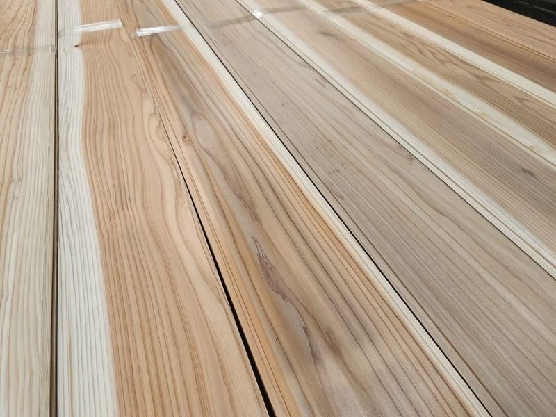Japanese Sugi cedar boards